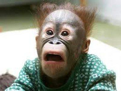 Surprise !! Surprise !!