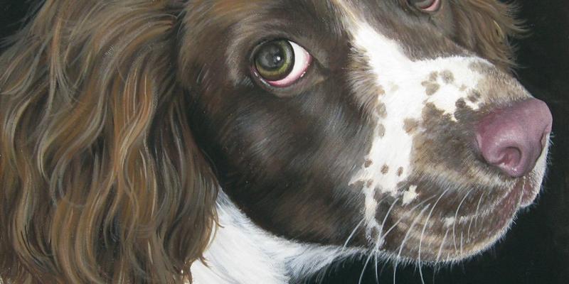 incontro con l'artista incontro con l'artista