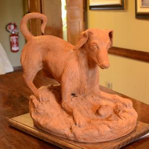 LE FOTO DI ALTRA NATURA IN VILLA fino al 25 ottobre CLUB LA MERIDIANA (MO)