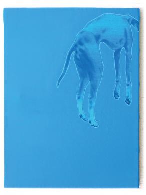 ascensione del cane al cielo n.8