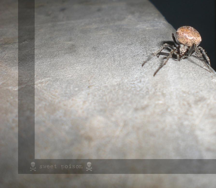 Sweet Pøisøn Sweet Pøisøn