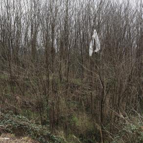 Untitled #3 (Segni delebili)