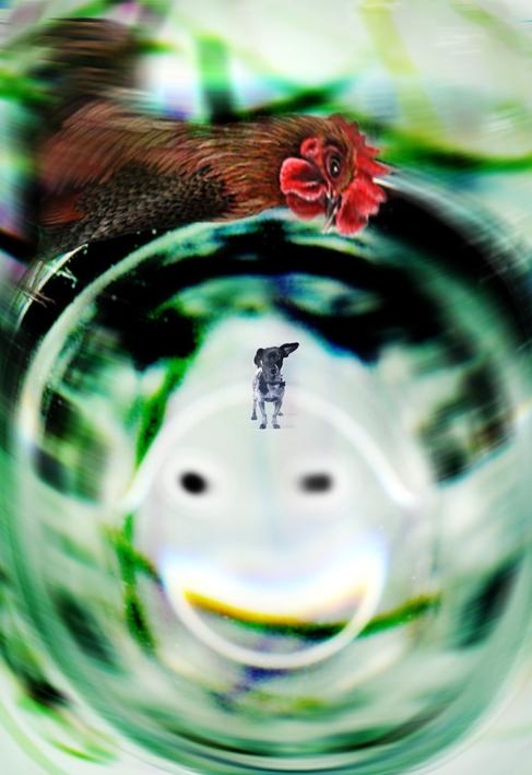 che fai nel buco maurino.