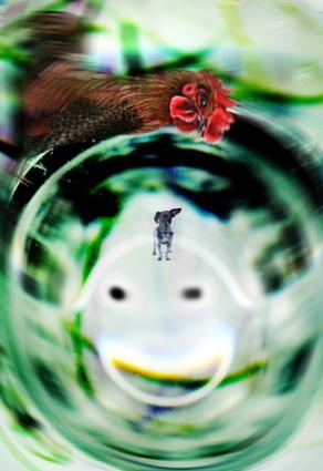 che fai nel buco maurino.