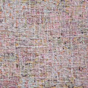 banks of the bogan river