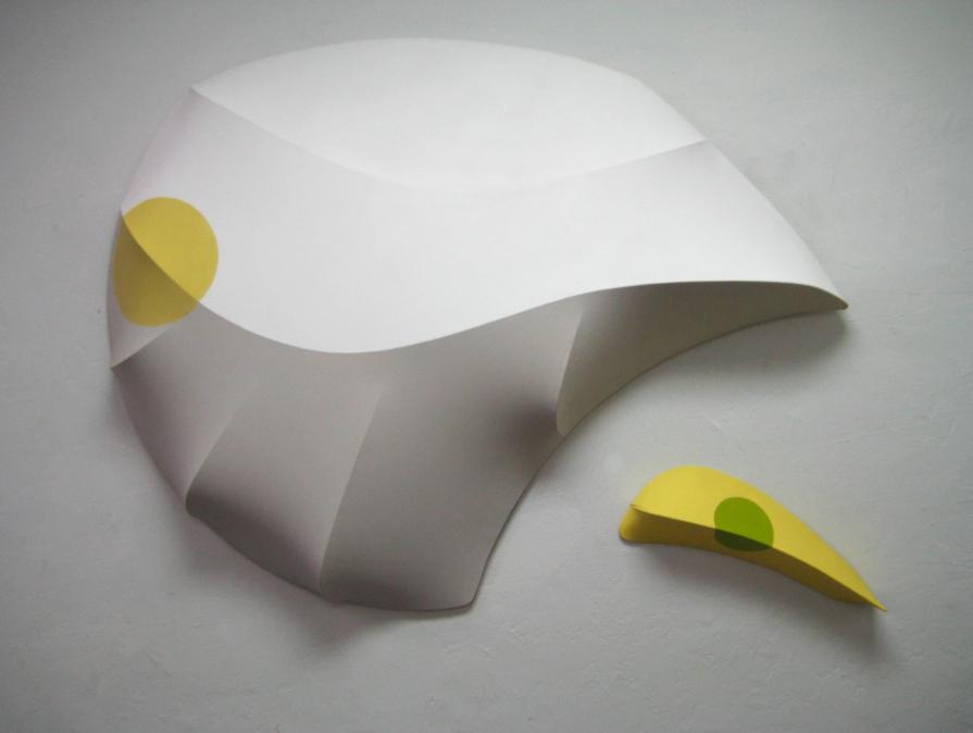 Number 21, Vertebrate Companion Series