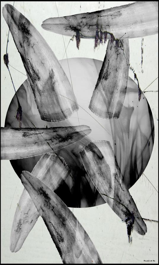 Il Dente Avvelenato - AlternativeVision