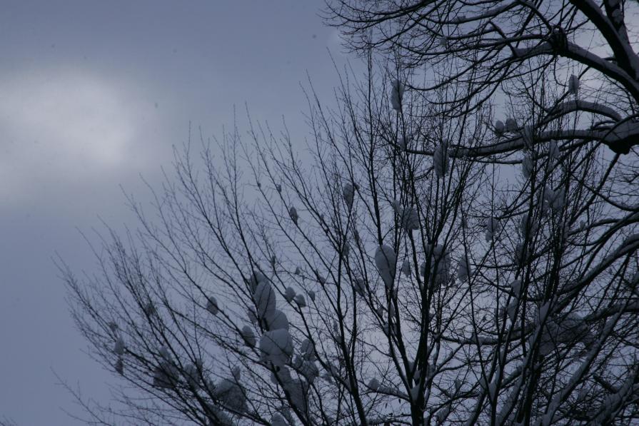 battiti_04 battiti_04