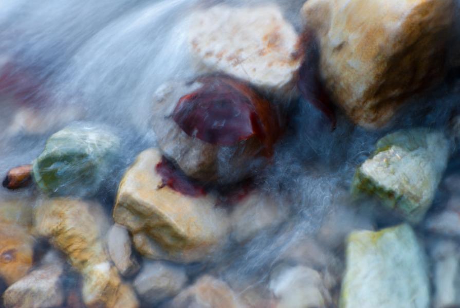 Come foglie sfuggenti #14