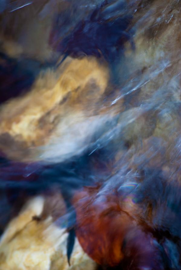 Come foglie sfuggenti #20