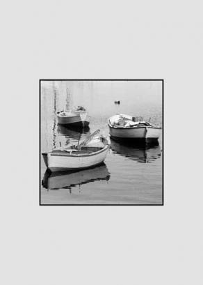 istinto e controllo 8