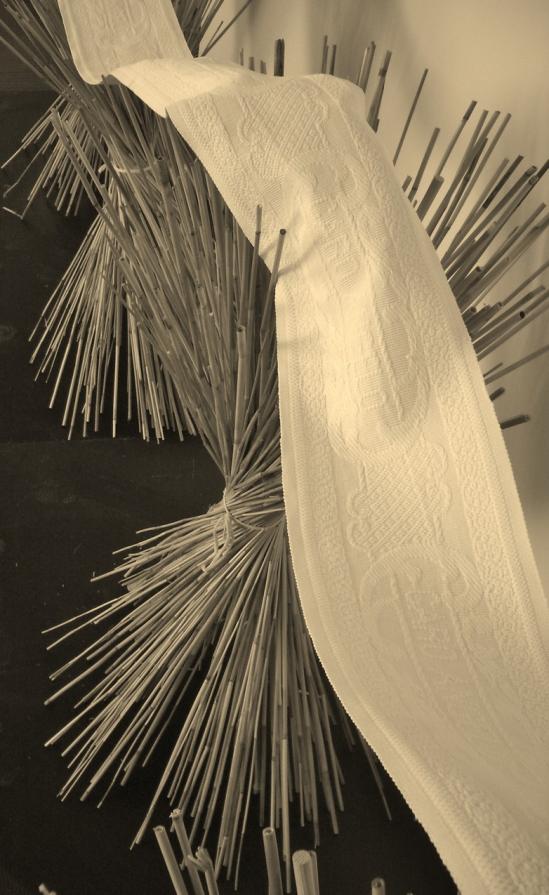 "lo spino fiorito "lo spino fiorito