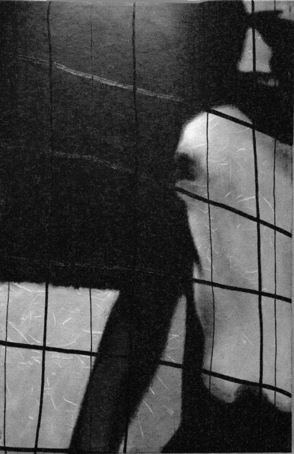 The Folds of the Soul The Folds of the Soul