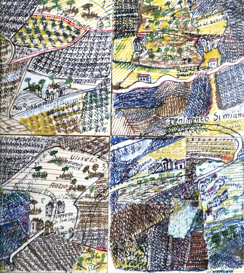 paesaggio: Mappa catastale