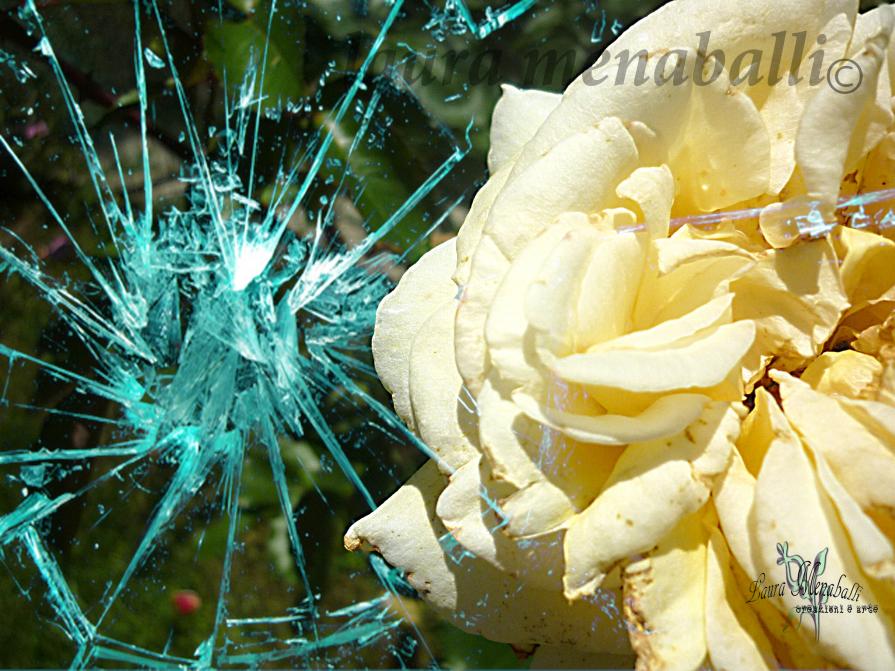 "cercando di liberarti" 