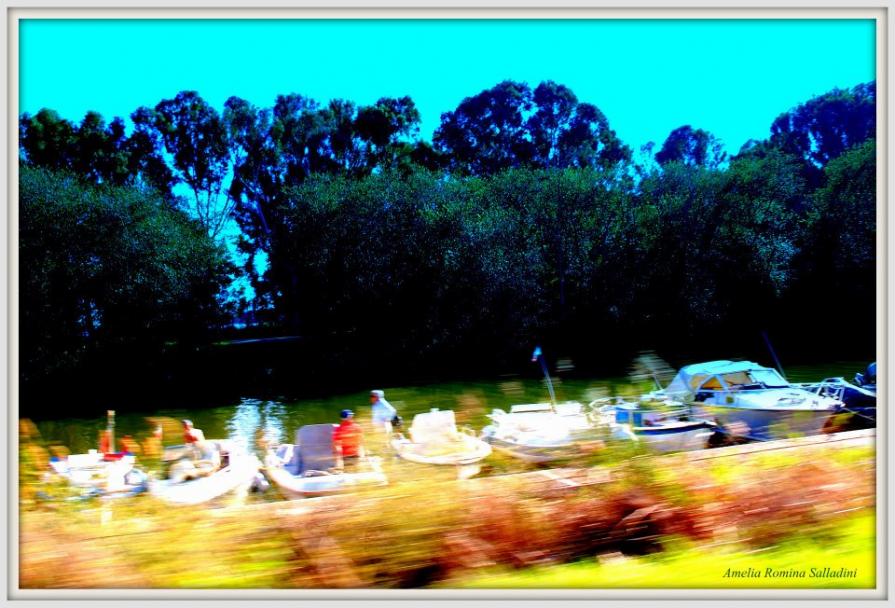 Lungomare di Sabaudia 8