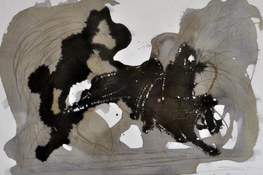 Corsa a cavallo    Horse race 