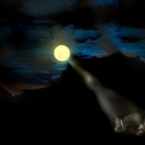 nasce una nuova vita stanotte,peccato che finira in una Fiorentina .........