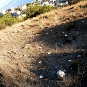 human touch - in fondo tutti vogliamo le stesse cose