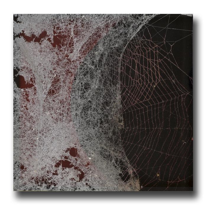 Mozart piano concerto No.21