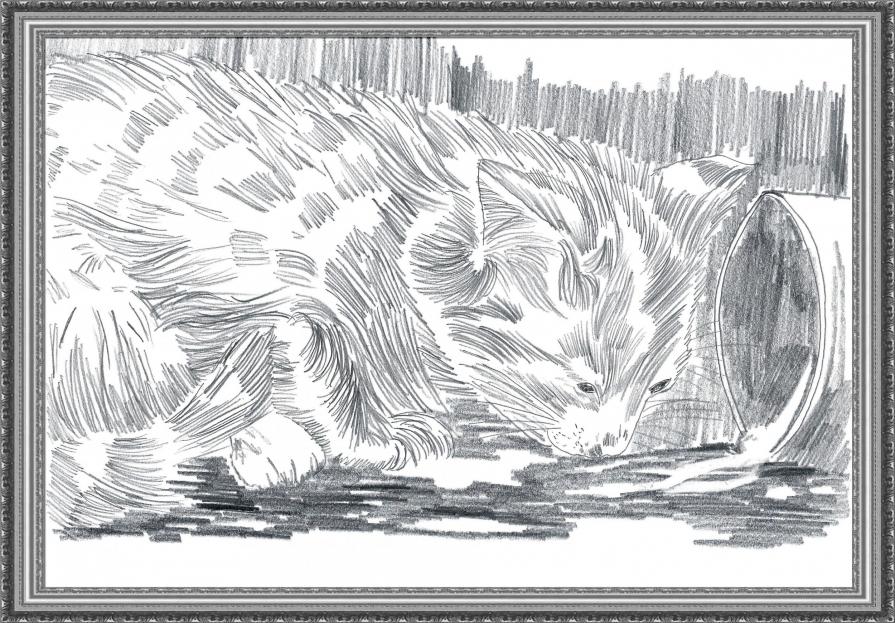   MATITA ... GOMMA ... E ... FANTASIA ....!!!! 8