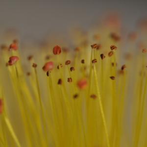 MICRO MACRO Progetto della ultima mostra personale alla galleria MIIT