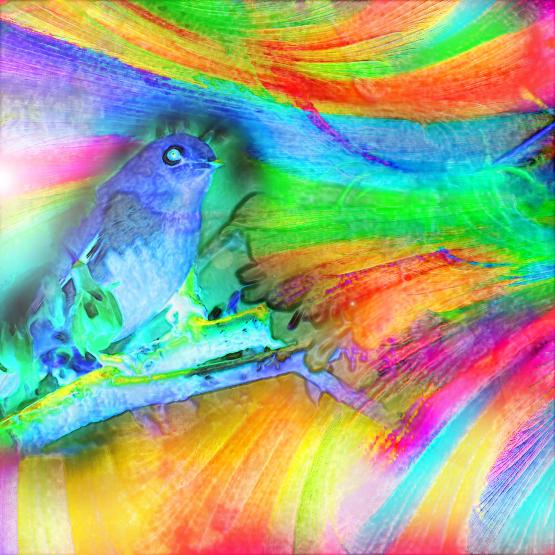 Tu canti e sei canto...!!!