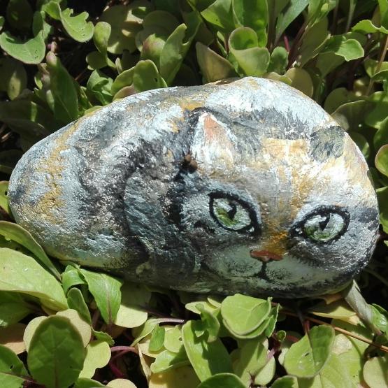 Pietre dipinte Pietre dipinte