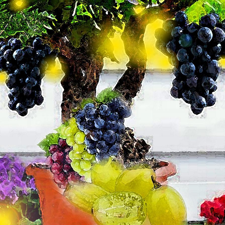 Il sole e il caldo da uva...!!!