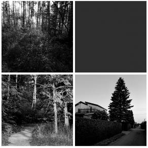 One week photos at 6:00 am