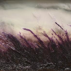 Who Has Seen the Wind?