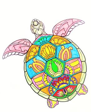 Fare una passeggiata con una tartaruga.. Ed ecco il mondo in pausa ...