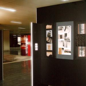 selezione onde d'urto