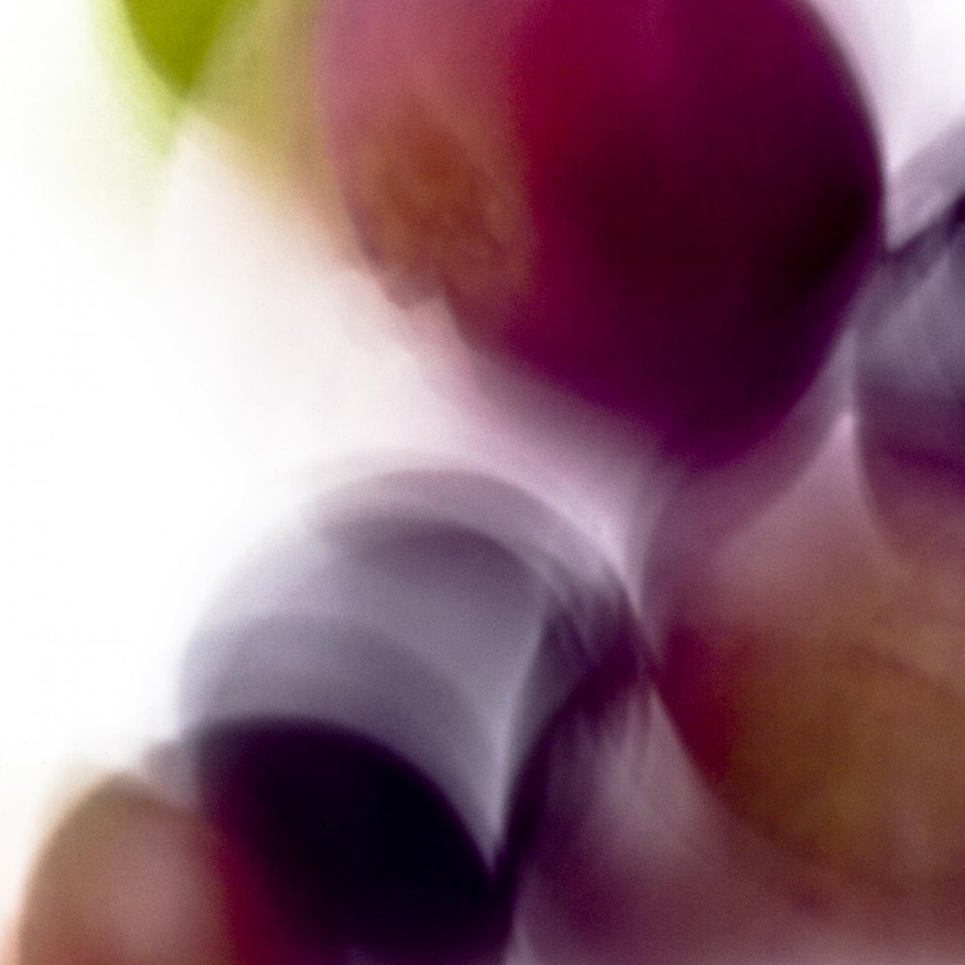 Wine, Technicolor Wine, Technicolor