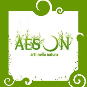 AESON Arti nella natura