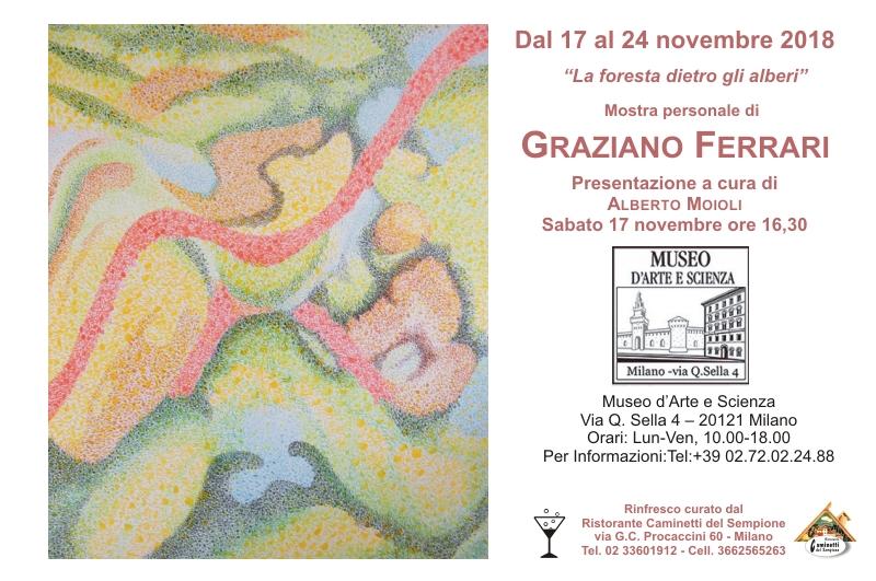 The forest behind the trees