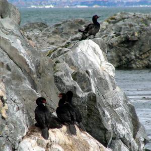 Argentina, Patagonia