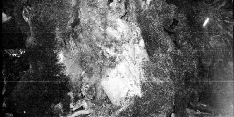 Artist residence selections