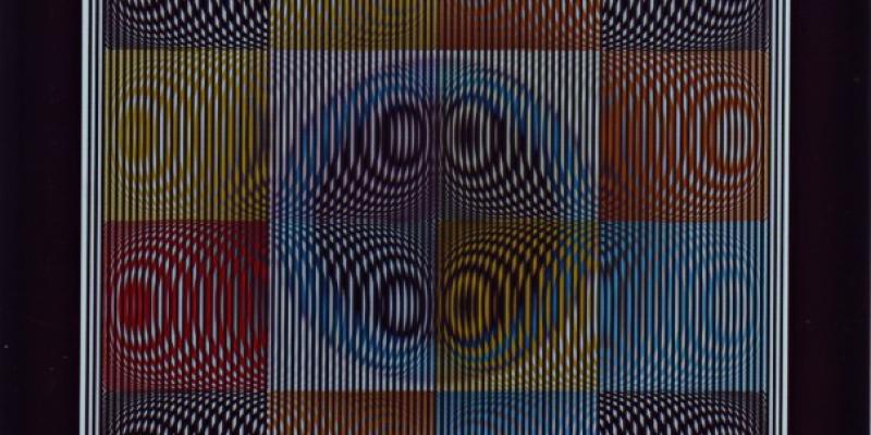 "Vision in Movement"