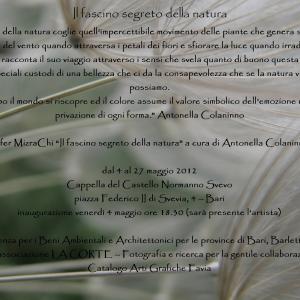 Ofer MizraChi “Il fascino segreto della natura” a cura di Antonella Colaninno