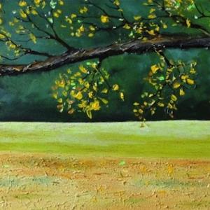 LIGHTS, COLORS AND EMOTIONS