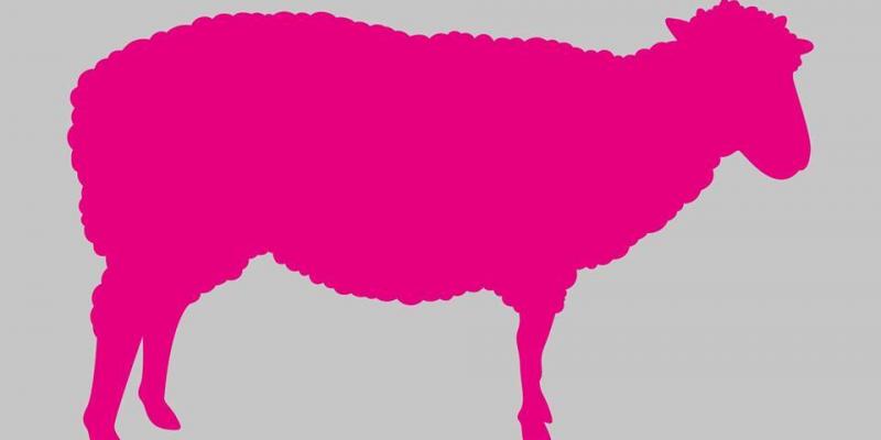 Dolly - Multiplo Contemporaneo Dolly - Multiplo Contemporaneo