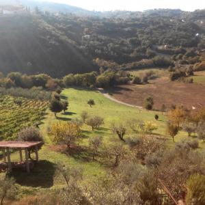 Painting competition "Cover 2014 - Valnerina Award - 3rd Edition" Painting competition "Cover 2014 - Valnerina Award - 3rd Edition"