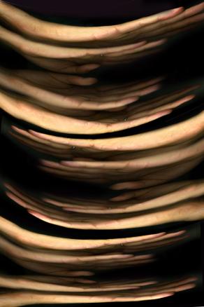 sono solo mani, forse le tue.???