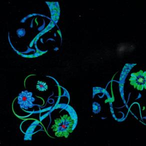 Le Passeggiate al buio