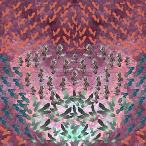  Extent Demonstration , Misura Dimostrazione