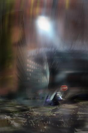 via aldo moro, una citta' visibile.... non abbandonate i cani