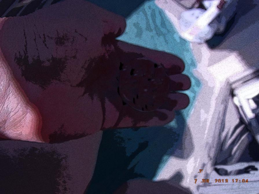 Al nokah 4 Al nokah 4