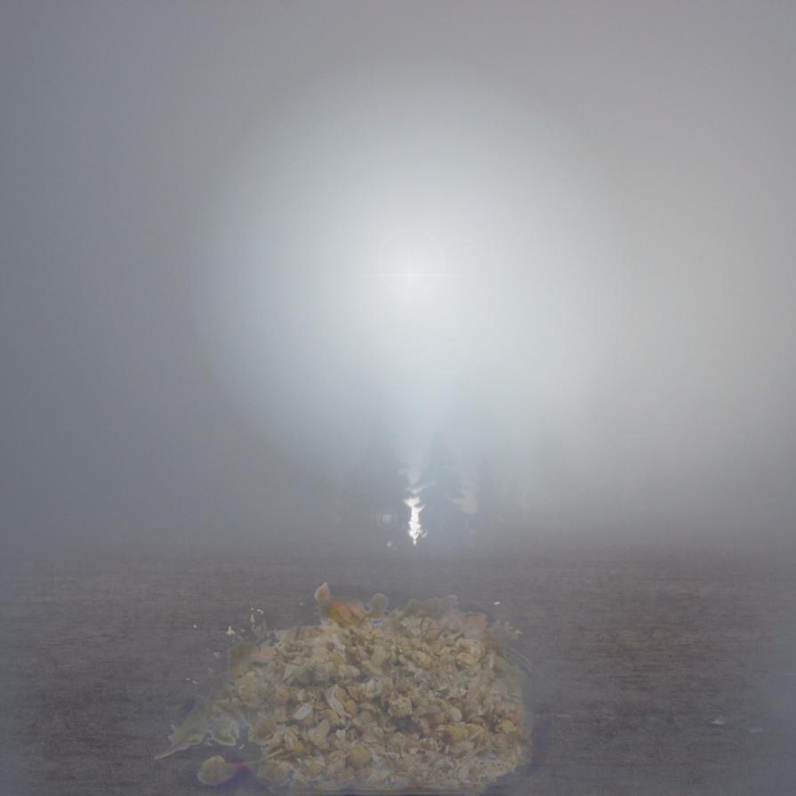 DEVI SAPER GUARDARE OLTRE CIÒ CHE VEDI !!!