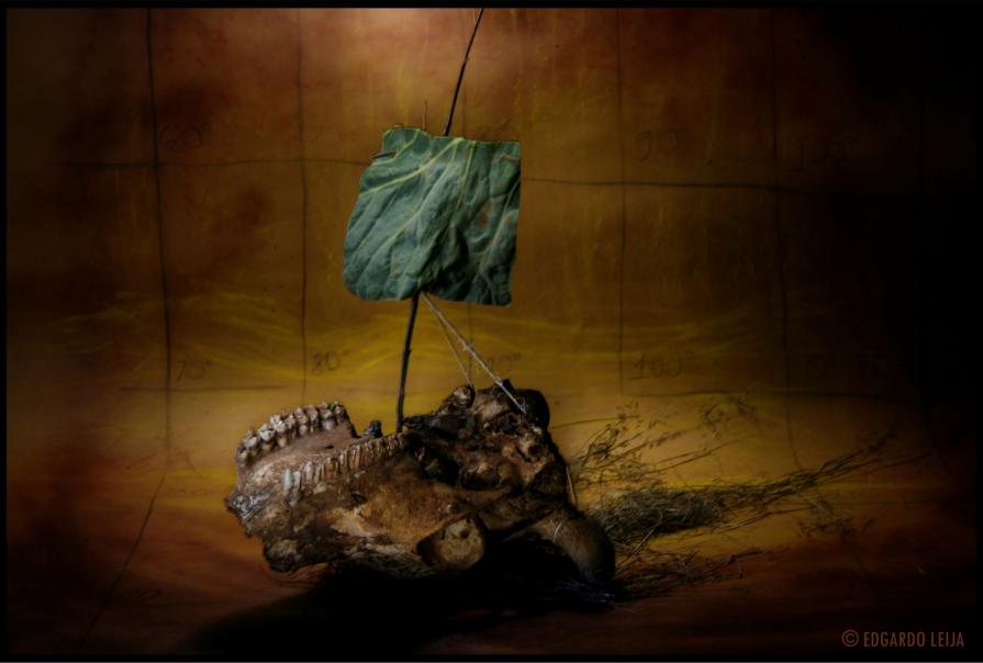 VIA NOCTURNA VIA NOCTURNA